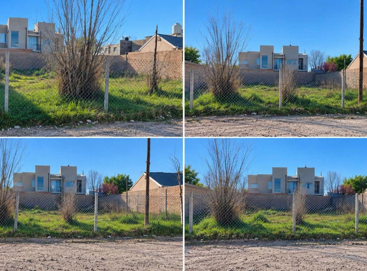 Foto de PLOTTIER, VENTA DE LOTE EN PINAR II, imagen 5
