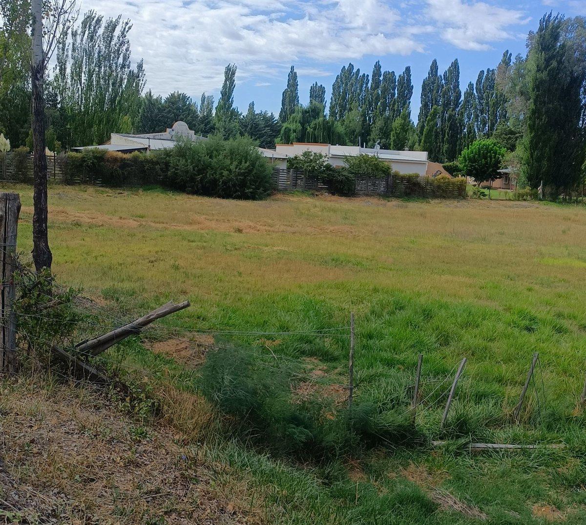 Foto de Venta de 1/2 hectarea a 100 metros de la ruta 22, imagen 4