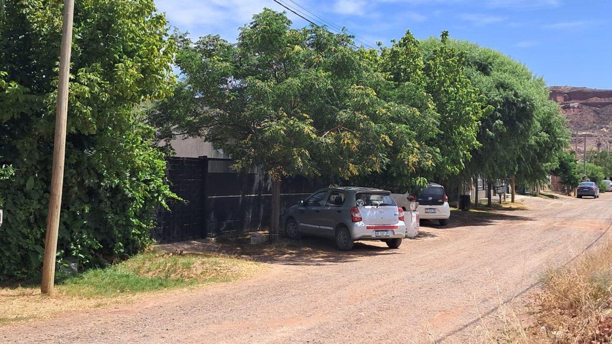 Foto de Venta Lote B° Portal del Norte de Plottier, imagen 2