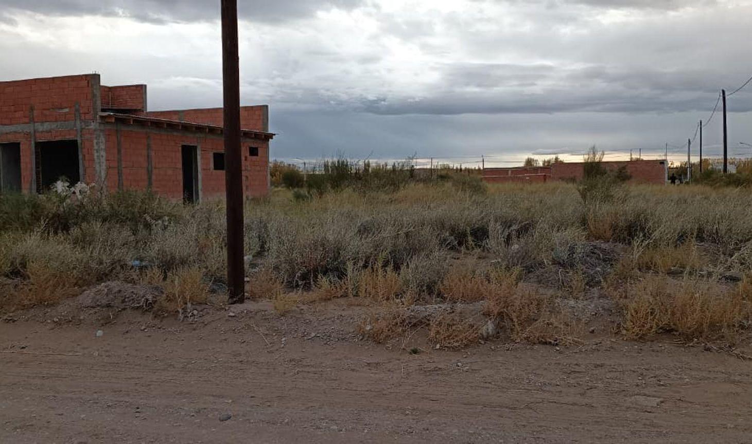 Foto de Lote en Esquina a 200 mts Ruta 22 Senillosa, imagen 2