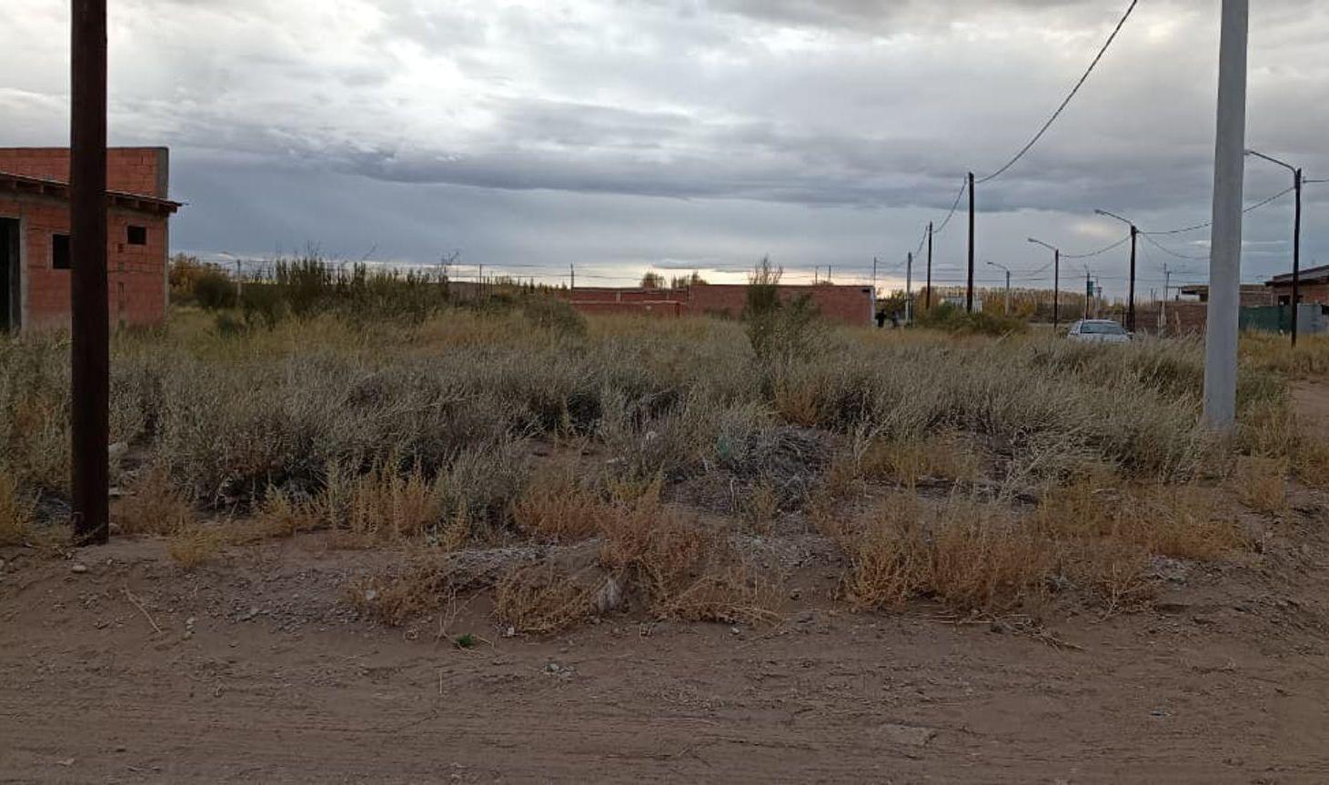 Foto de Lote en Esquina a 200 mts Ruta 22 Senillosa, imagen 4