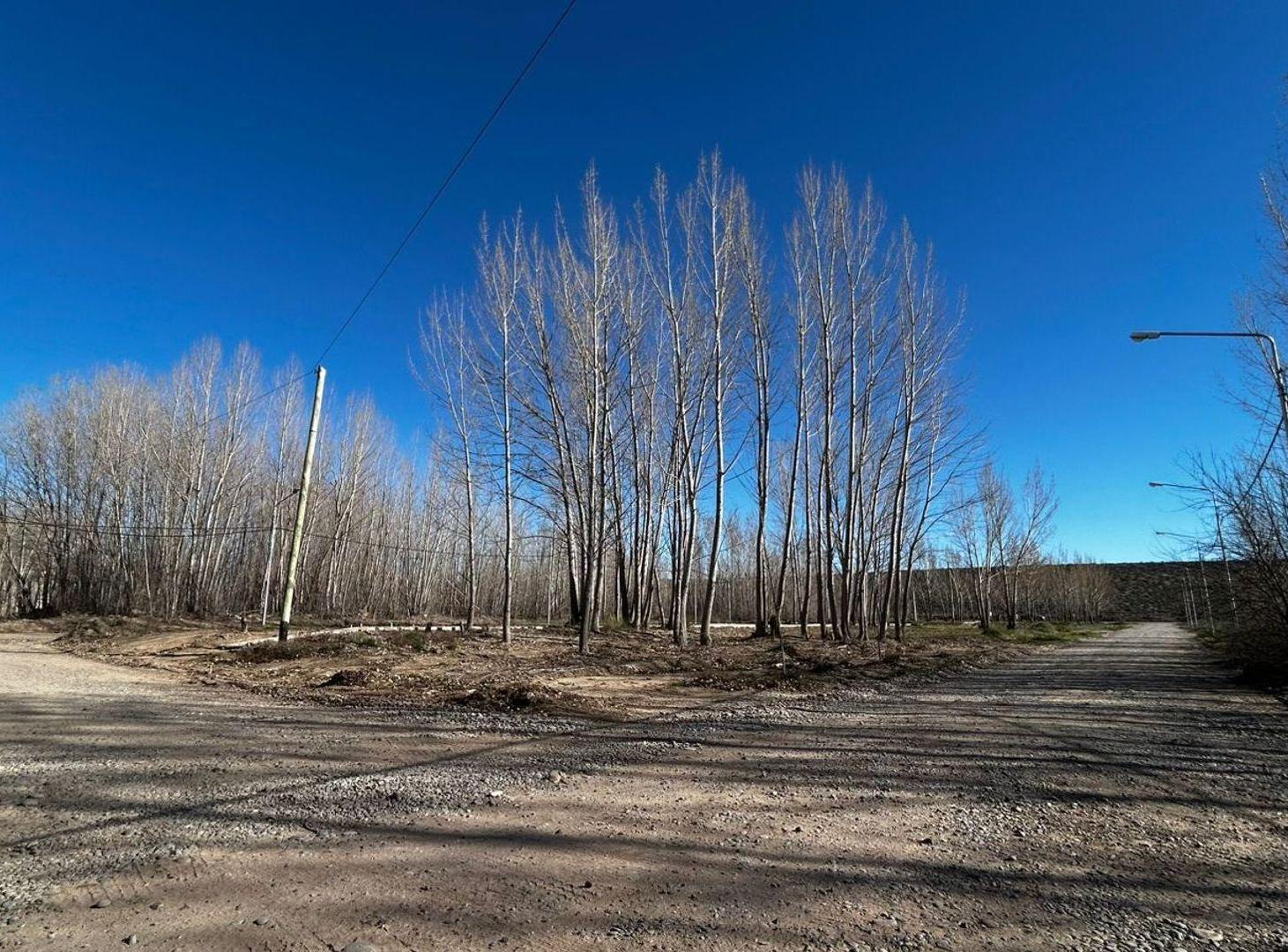Foto de LOTE EN VENTA LA FORESTADA, AÑELO, NEUQUEN, imagen 5