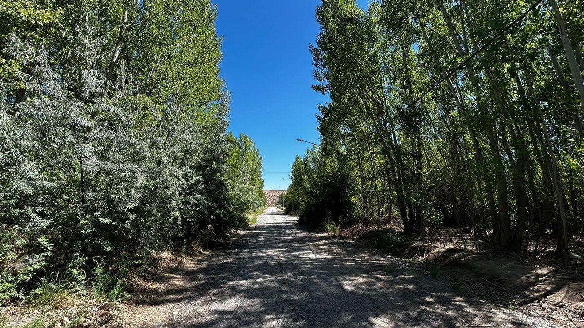 Foto de LOTE EN VENTA LA FORESTADA, AÑELO, NEUQUEN, imagen 2