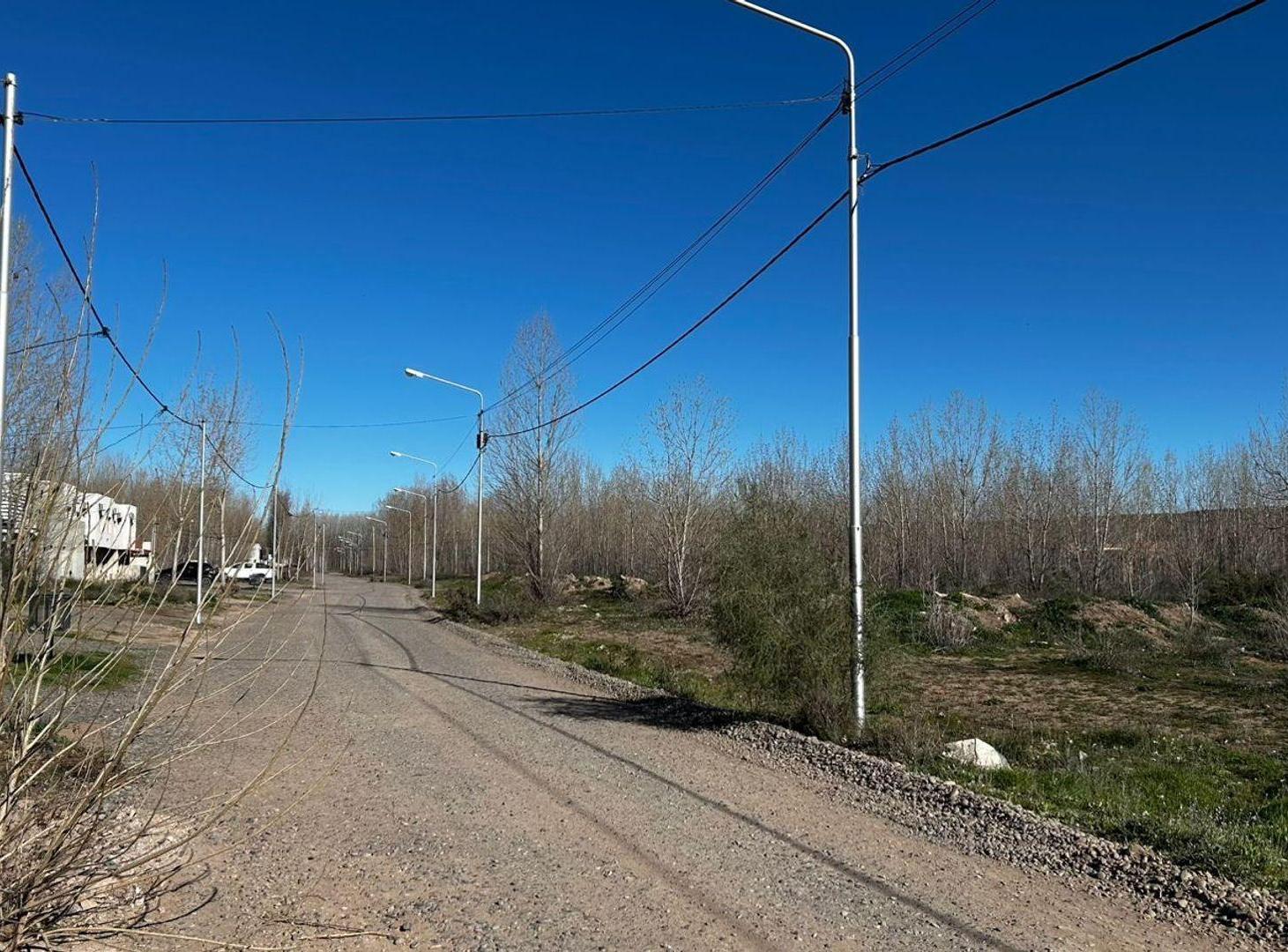 Foto de LOTE EN VENTA LA FORESTADA, AÑELO, NEUQUEN, imagen 3