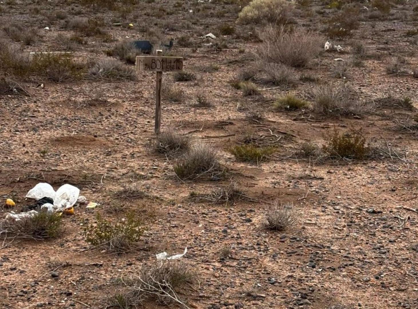 Foto de Lote 300 M2 en la Meseta de Centenario, imagen 1