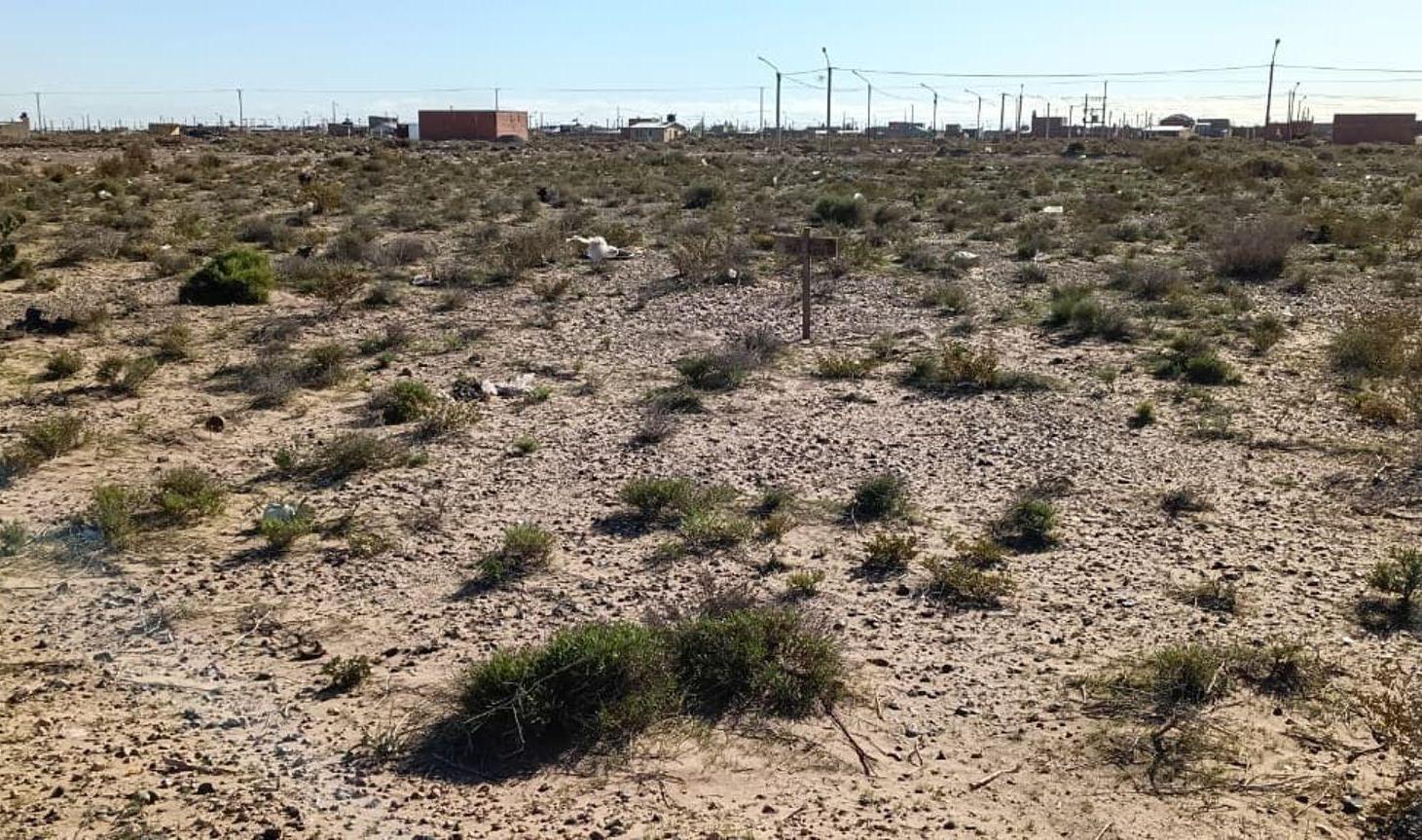 Foto de Lote 300 M2 en la Meseta de Centenario, imagen 3