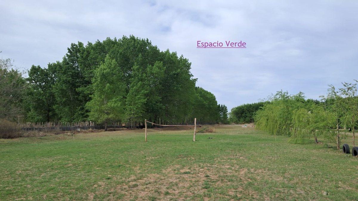 Foto de VENTA de TERRENO en Loteo EL GAUCHITO, PLOTTIER, imagen 4