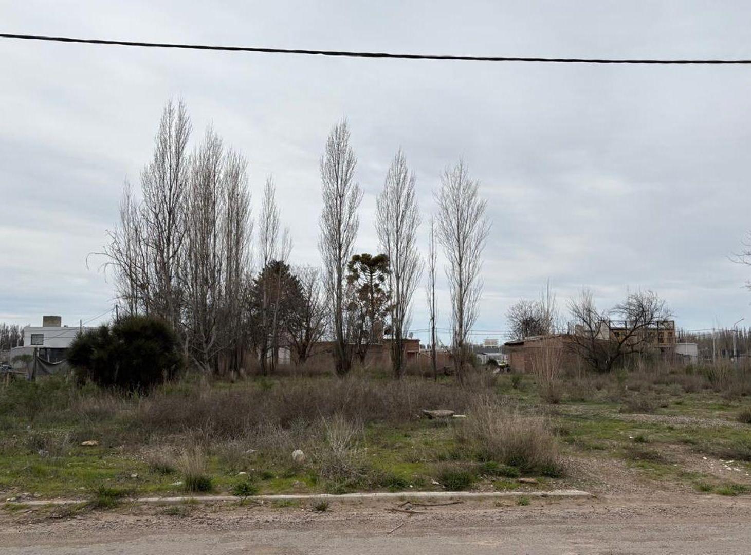Foto de Venta de Lote de 2500 mts2 Barrio Los Cedros, Plot, imagen 1