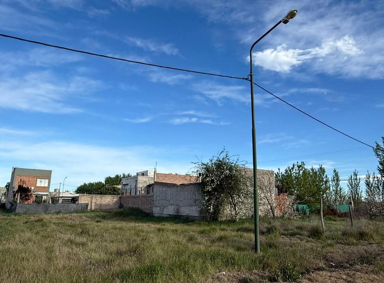 Foto de TERRENO EN VENTA - BARRIO DIOMEDI - ALLEN, imagen 2