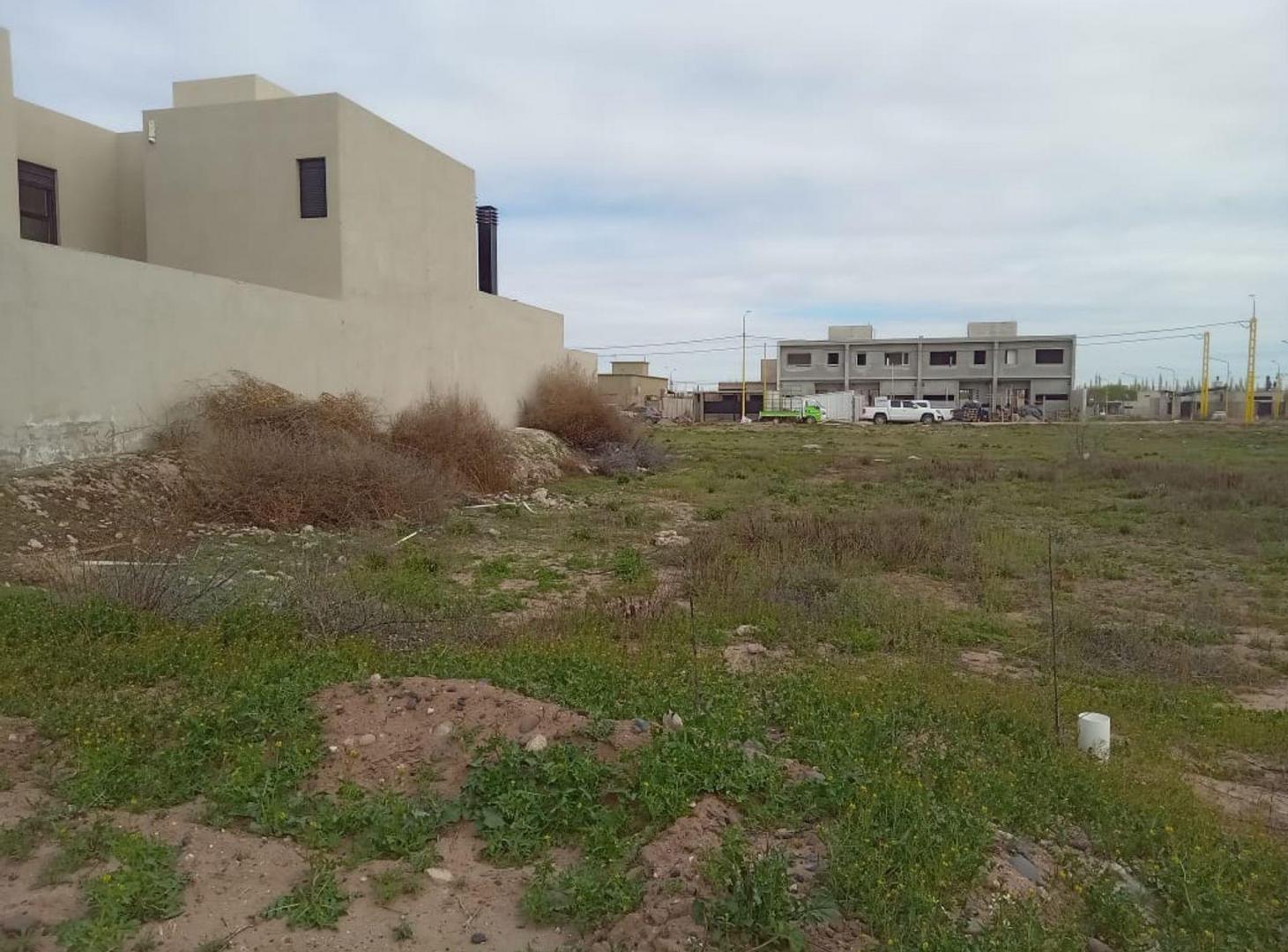 Foto de VENTA DE LOTE EN PRIMA TERRA, imagen 5