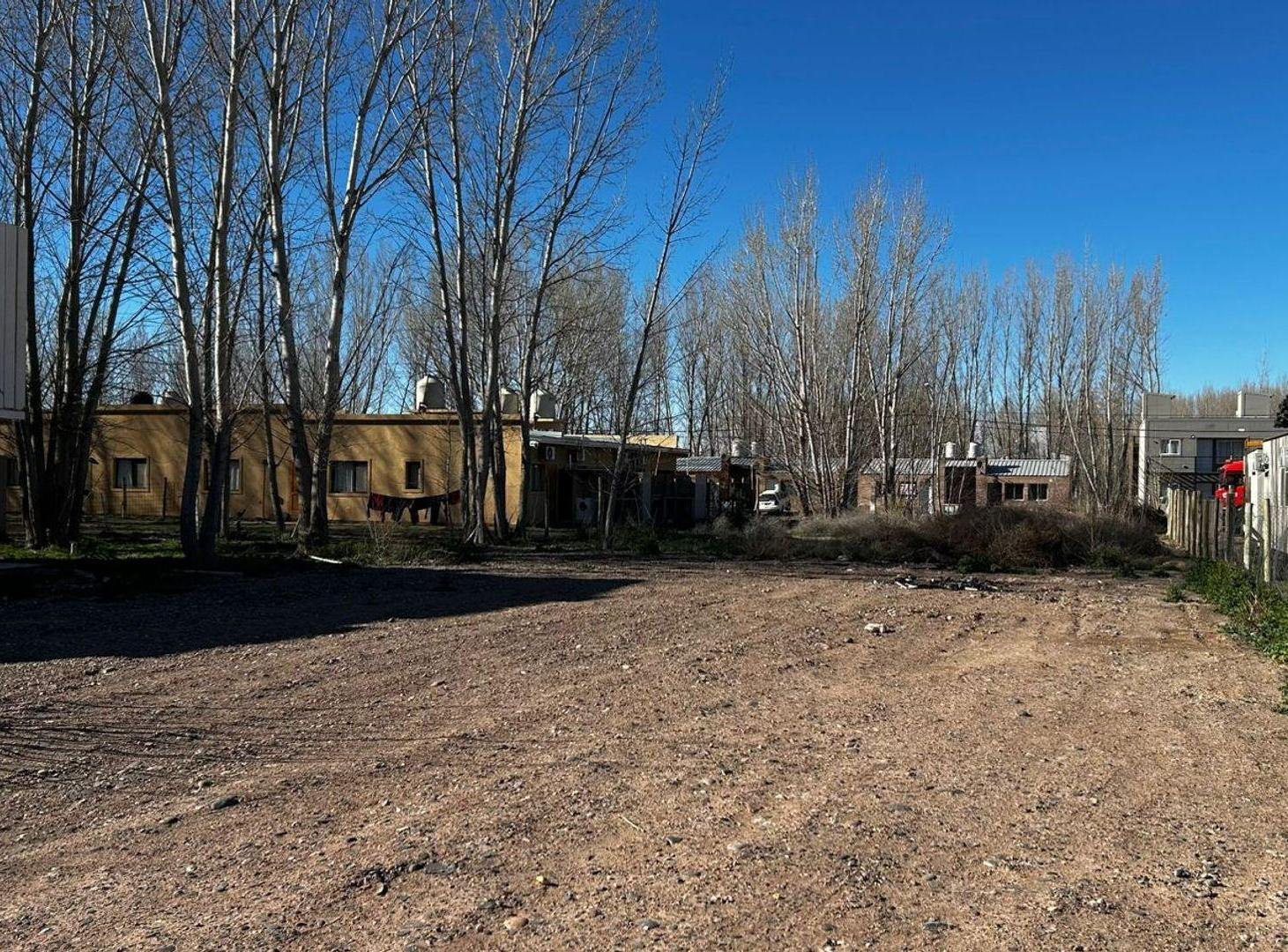 Foto de LOTE DEFORESTADO Y NIVELADO, LA FORESTADA, AÑELO, imagen 1