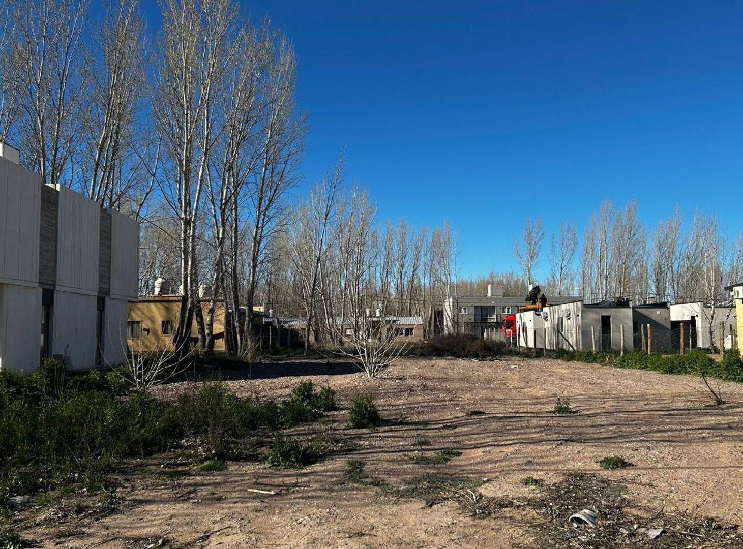 Foto de LOTE DEFORESTADO Y NIVELADO, LA FORESTADA, AÑELO, imagen 3