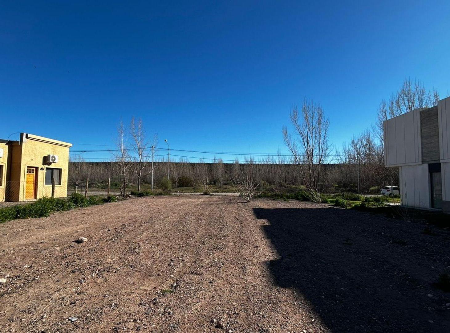 Foto de LOTE DEFORESTADO Y NIVELADO, LA FORESTADA, AÑELO, imagen 5
