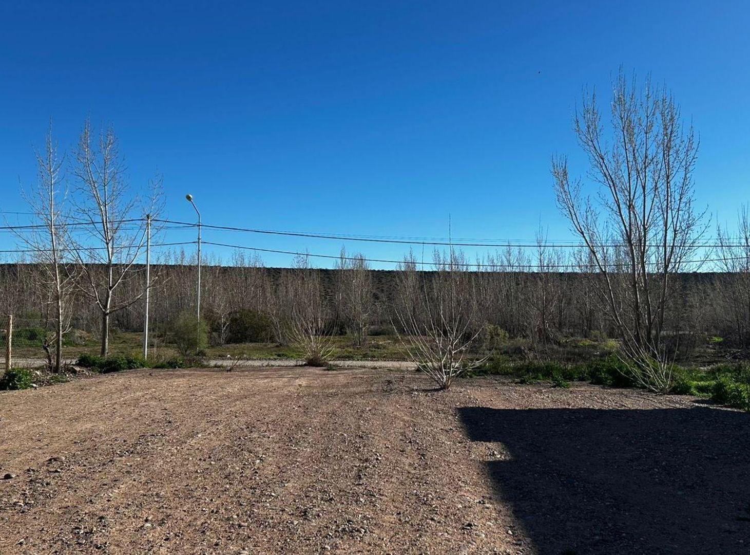 Foto de LOTE DEFORESTADO Y NIVELADO, LA FORESTADA, AÑELO, imagen 4