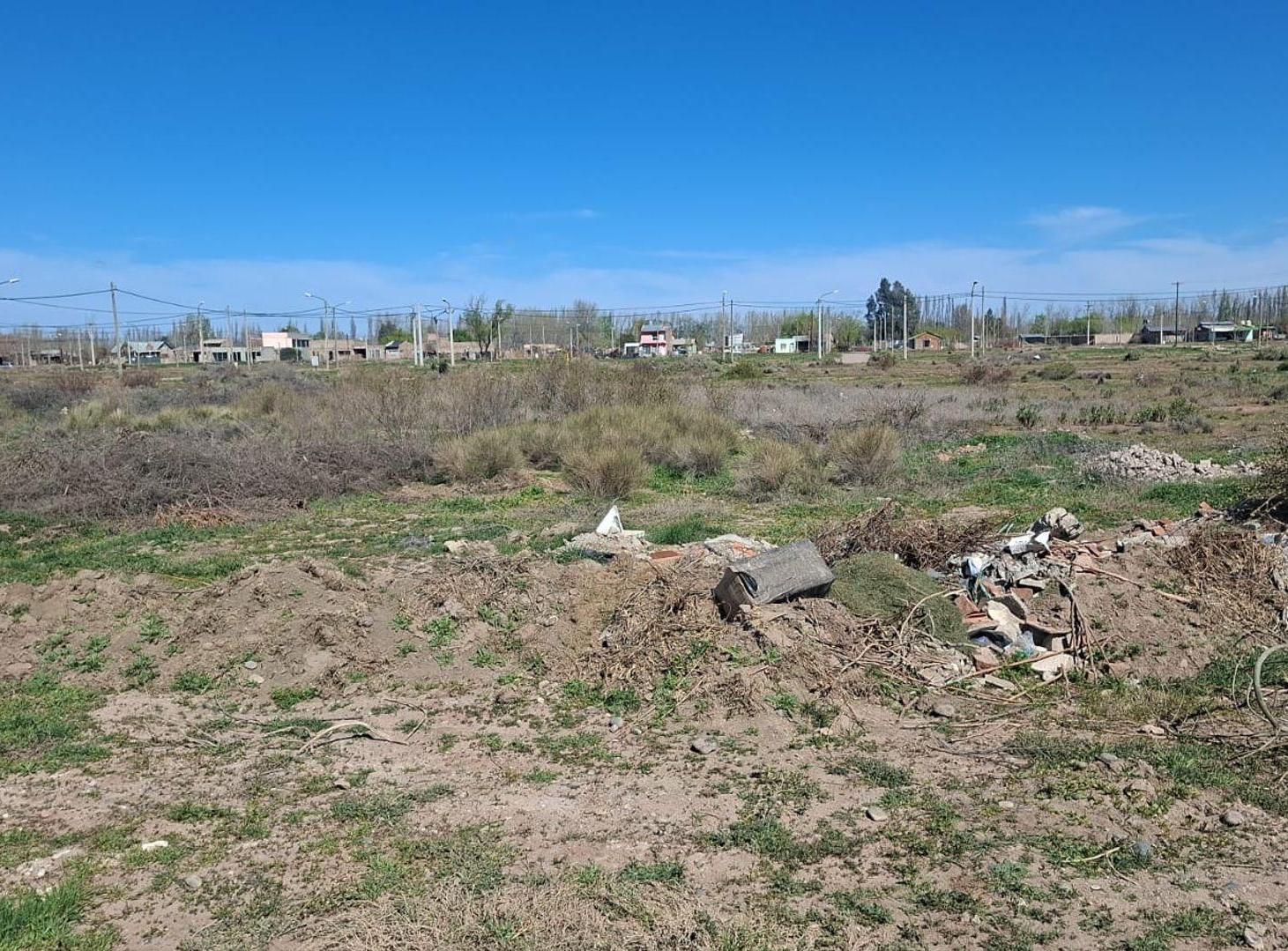 Foto de PORTAL DEL NORTE, imagen 4
