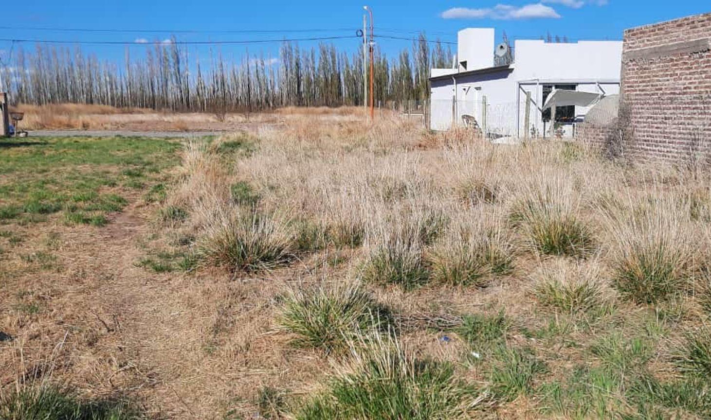 Foto de VENTA DE TERRENO, LOTEO DON PEDRO, VILLA MANZANO, imagen 5