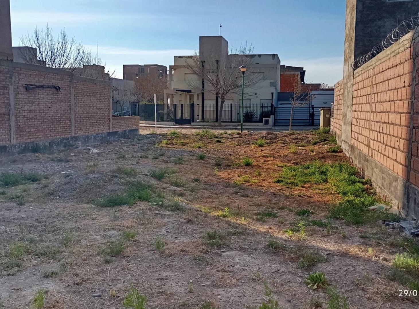 Foto de Terreno en Chimenea Ex Bagliani, imagen 5