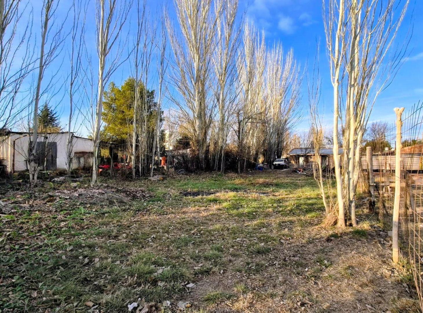 Foto de TERRENO EN VENTA B° KNUDSEN, PLOTTIER, imagen 1