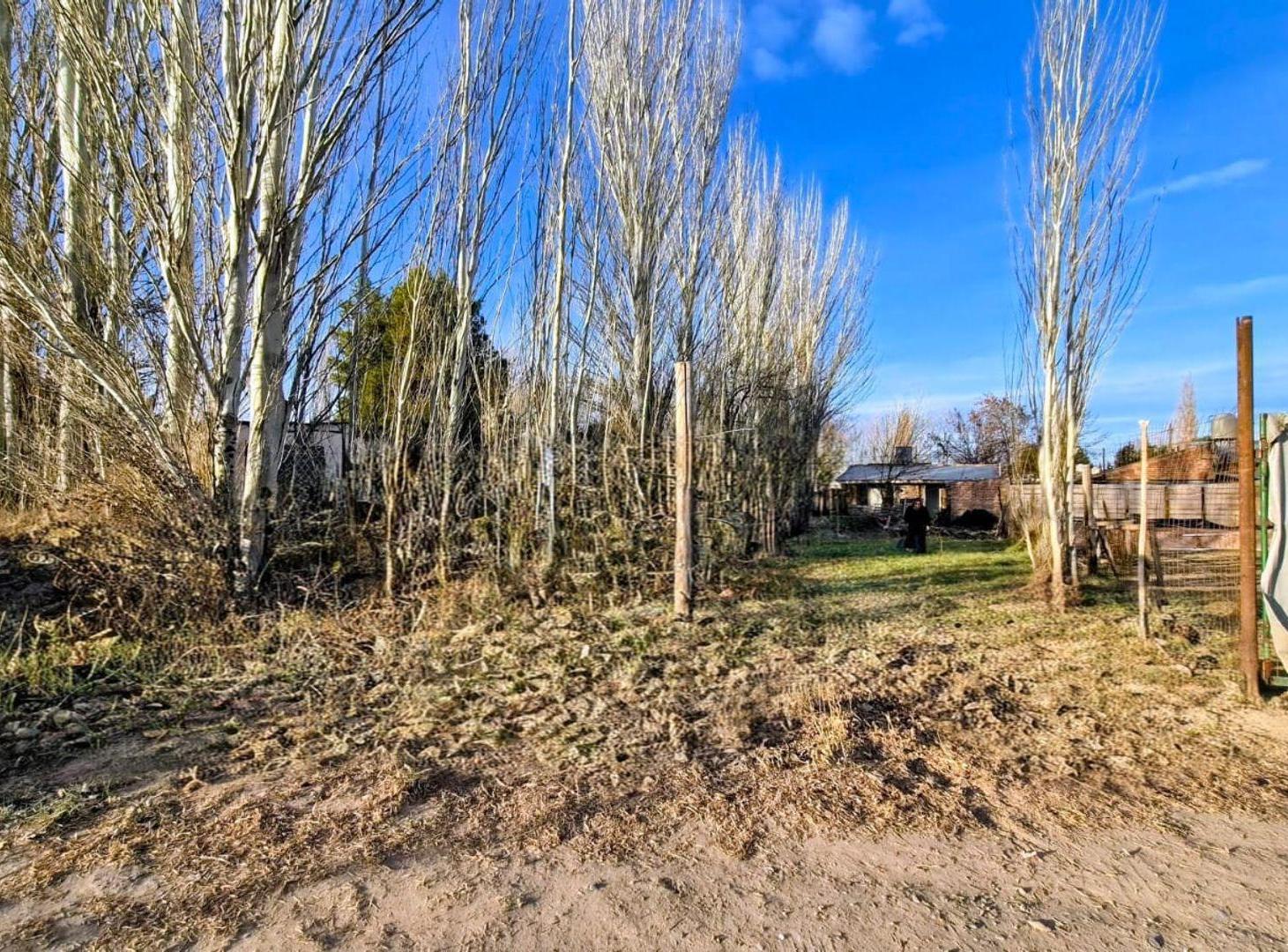 Foto de TERRENO EN VENTA B° KNUDSEN, PLOTTIER, imagen 2