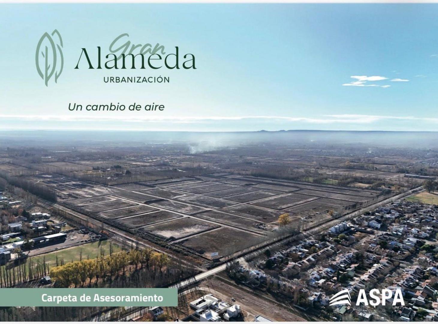 Foto de VENTA TERRENO GRAN ALAMEDA CIPOLLETTI, imagen 1