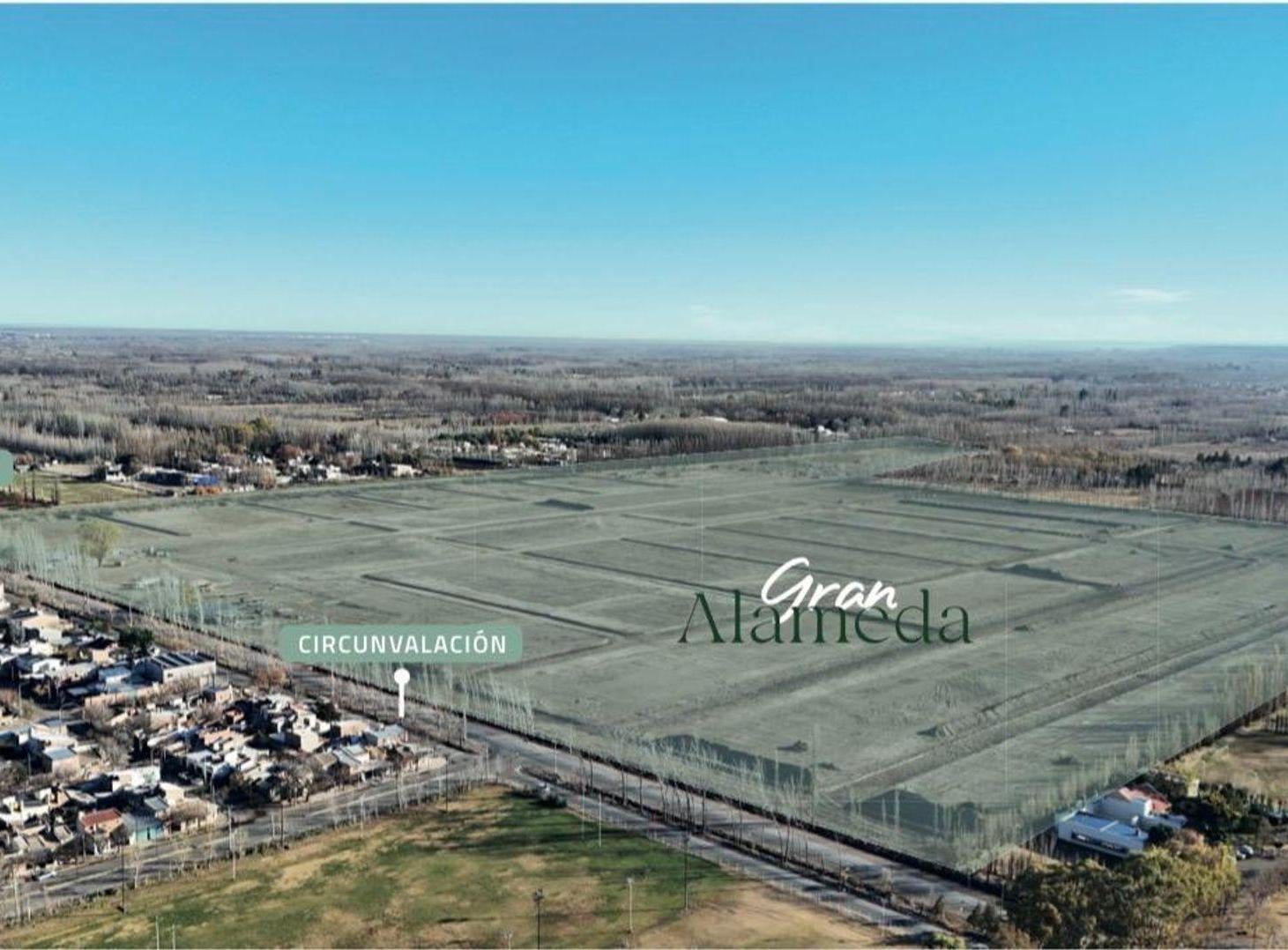 Foto de VENTA TERRENO GRAN ALAMEDA CIPOLLETTI, imagen 2