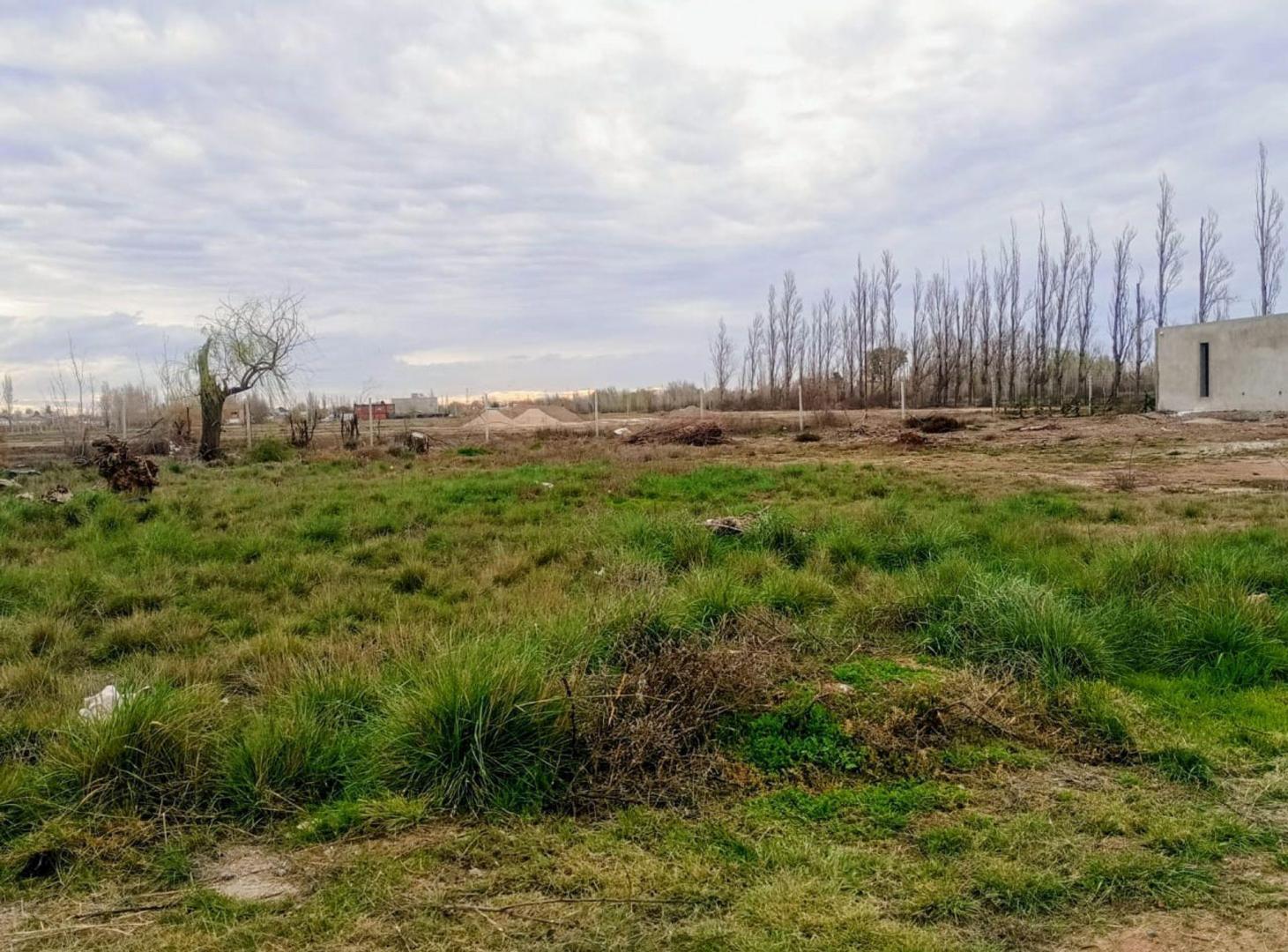 Foto de VENTA TERRENO 1500 MTS. " EL PARAISO DEL VALLE ", imagen 3