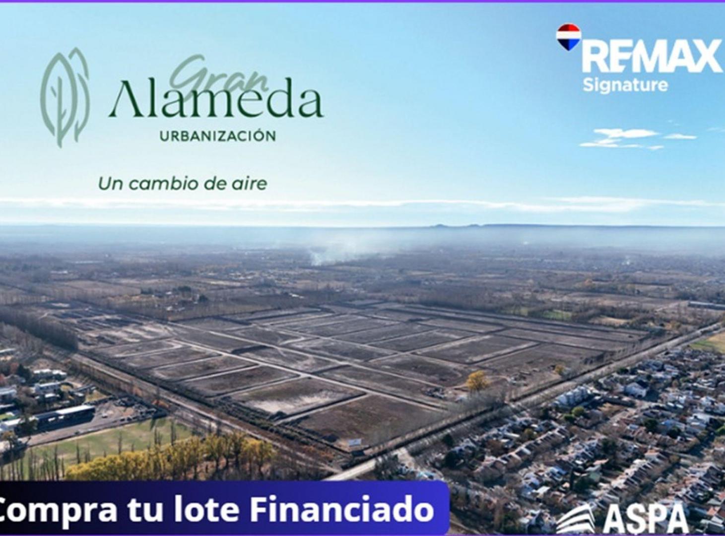 Foto de VENTA TERRENO GRAN ALAMEDA CIPOLLETTI, imagen 4