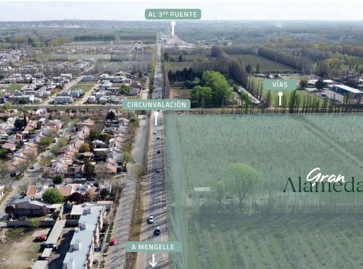 Foto de VENTA TERRENO GRAN ALAMEDA CIPOLLETTI, imagen 1