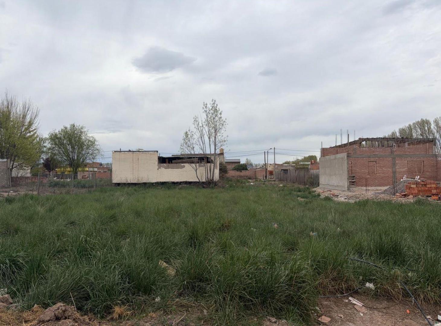 Foto de LOTE EN VENTA - ASPA | SAN PATRICIO DEL CHAÑAR, imagen 3
