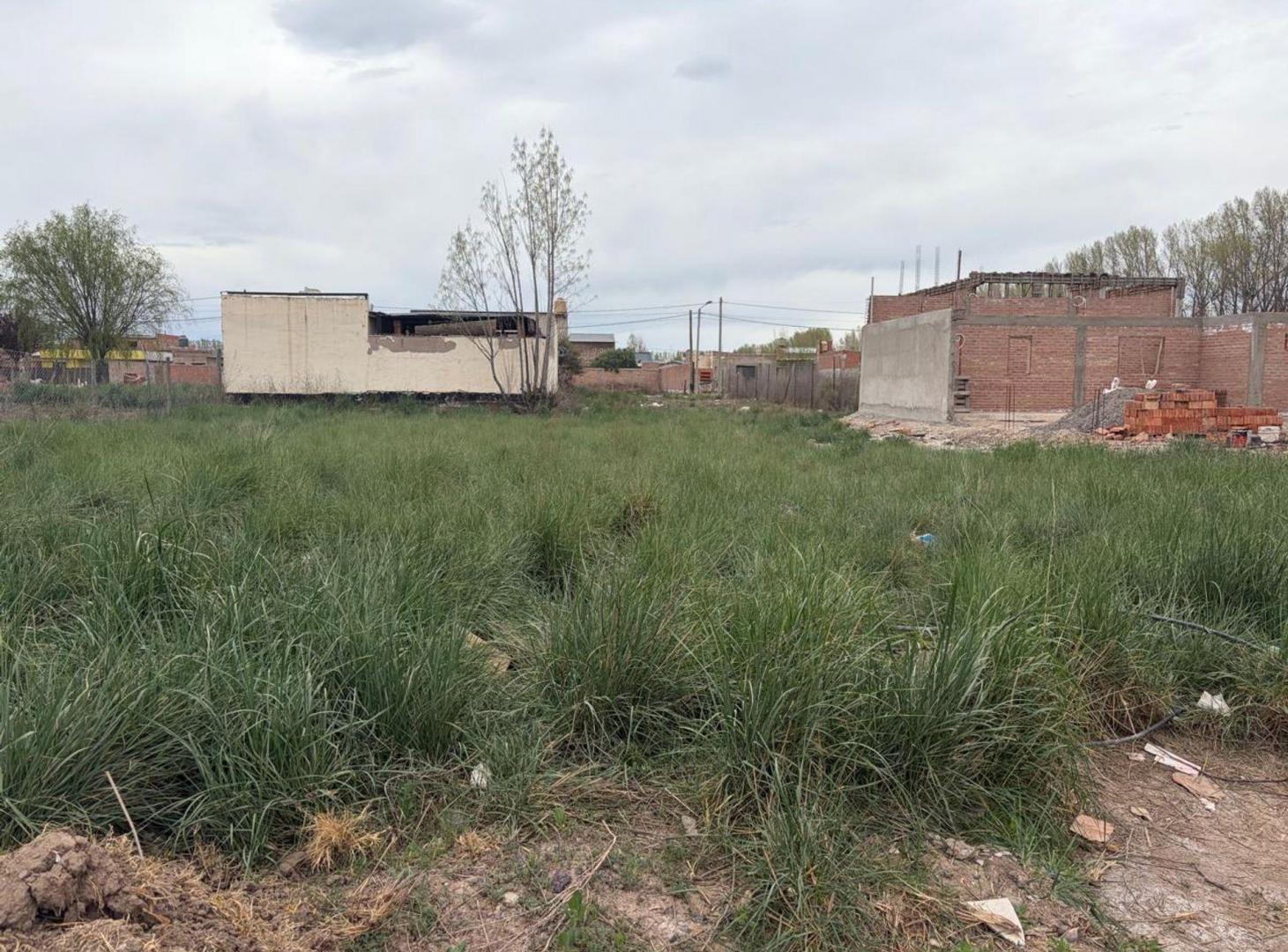 Foto de LOTE EN VENTA - ASPA | SAN PATRICIO DEL CHAÑAR, imagen 4