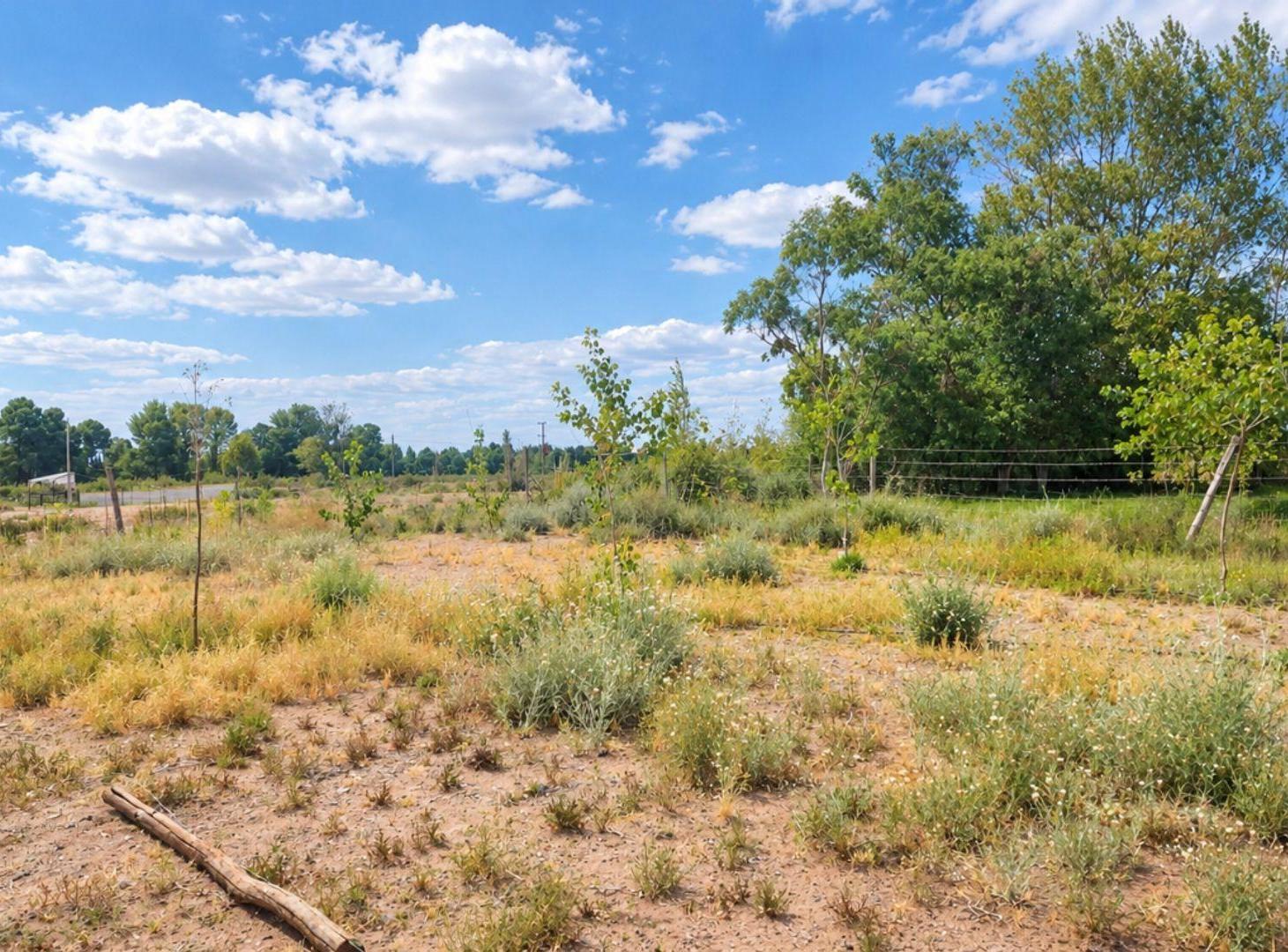 Foto de TERRENO EN VENTA VILLA ARROYITO NEUQUEN, imagen 4
