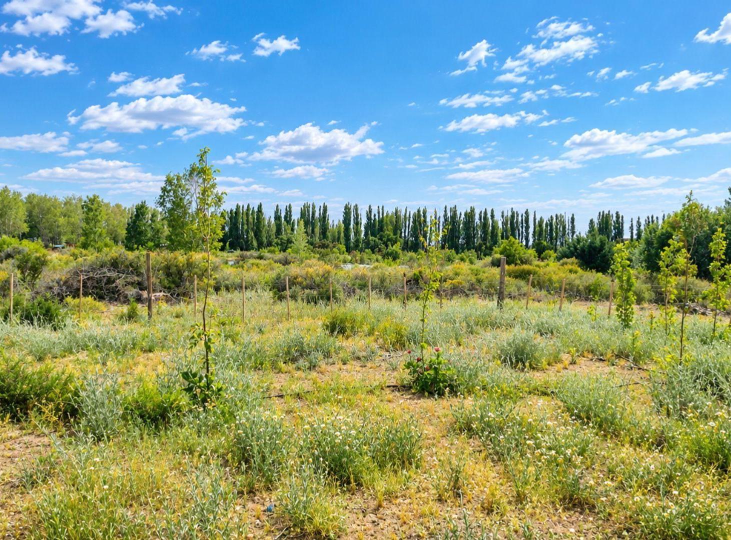 Foto de TERRENO EN VENTA VILLA ARROYITO NEUQUEN, imagen 1