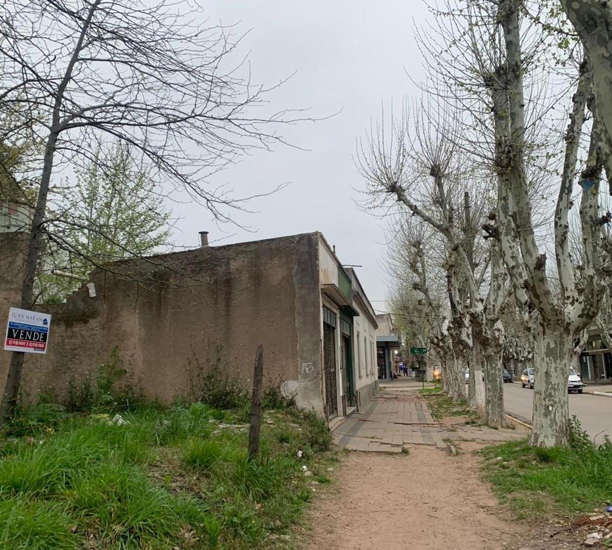 Lote Centrico en Marcos Paz. Ideal Desarrollo Inmobiliario! 4