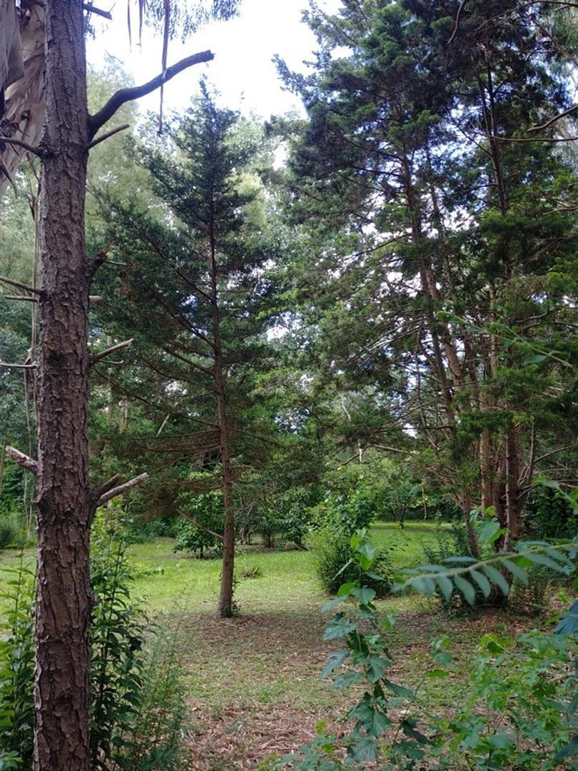 Lote unico en venta en Club de campo El Moro