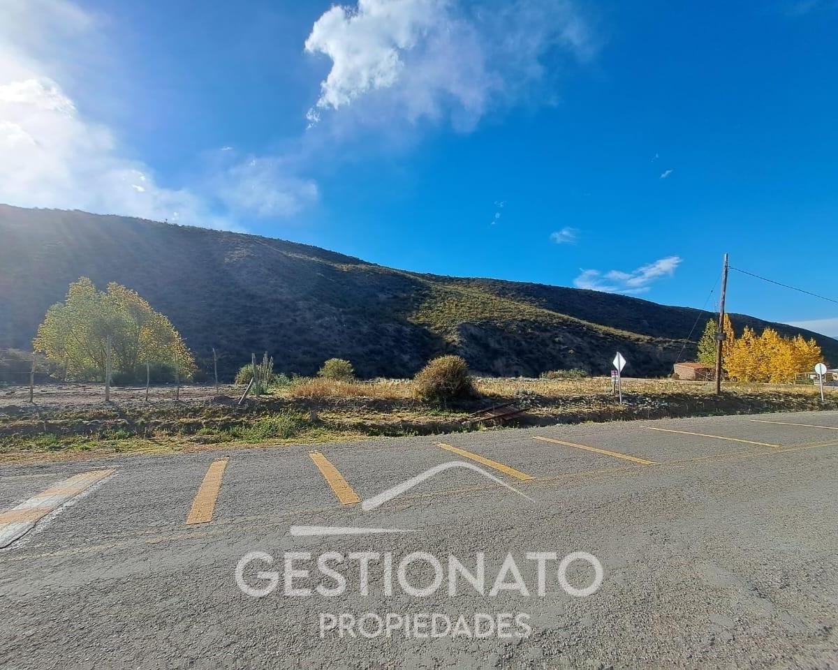 Lote en Potrerillos 5