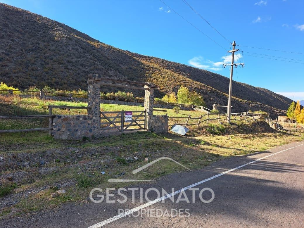 Lote en Potrerillos 3