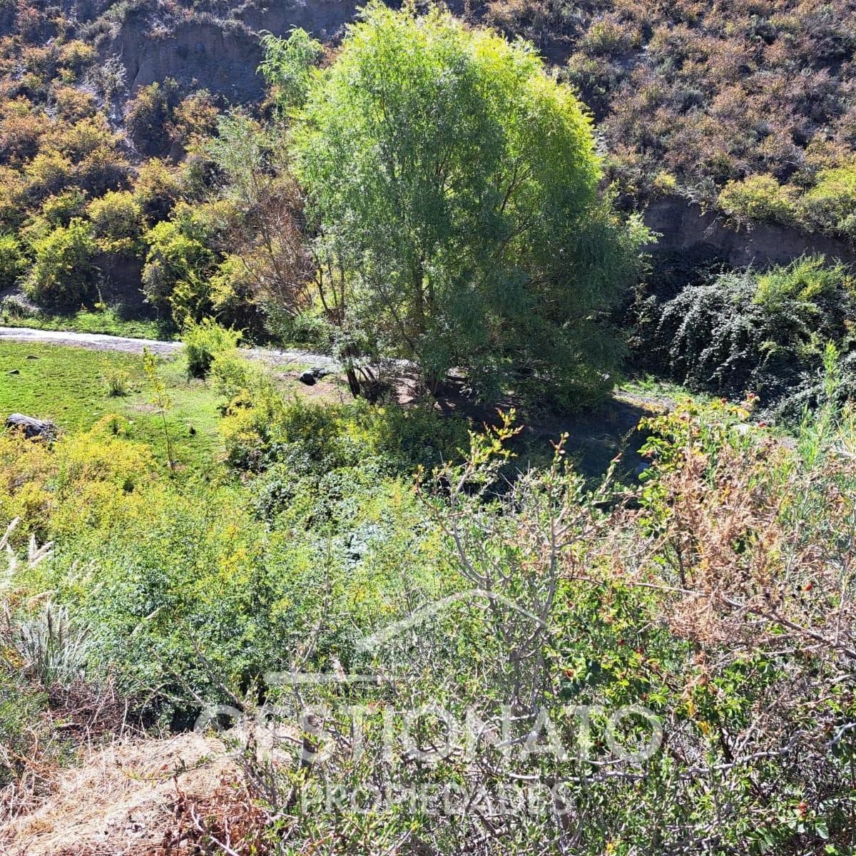 Lote en Potrerillos 2