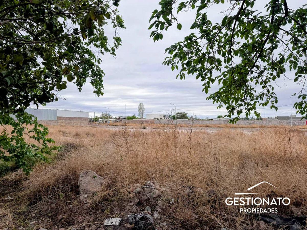 Foto de Lote en Maipú APTO PH - Gutiérrez, imagen 4
