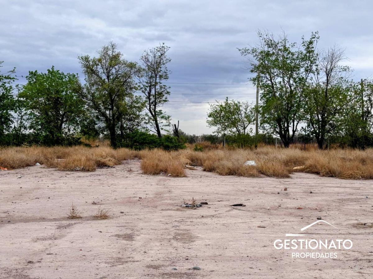 Foto de Lote en Maipú APTO PH - Gutiérrez, imagen 2