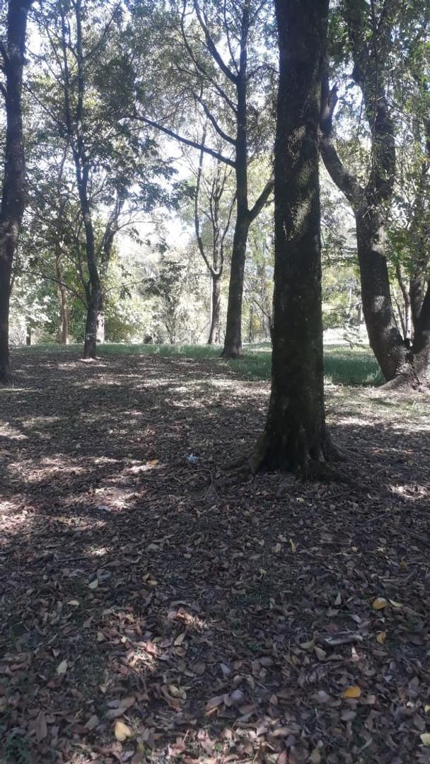 Foto de LA ARBOLEDA - TERRENOS EN VENTA, imagen 5