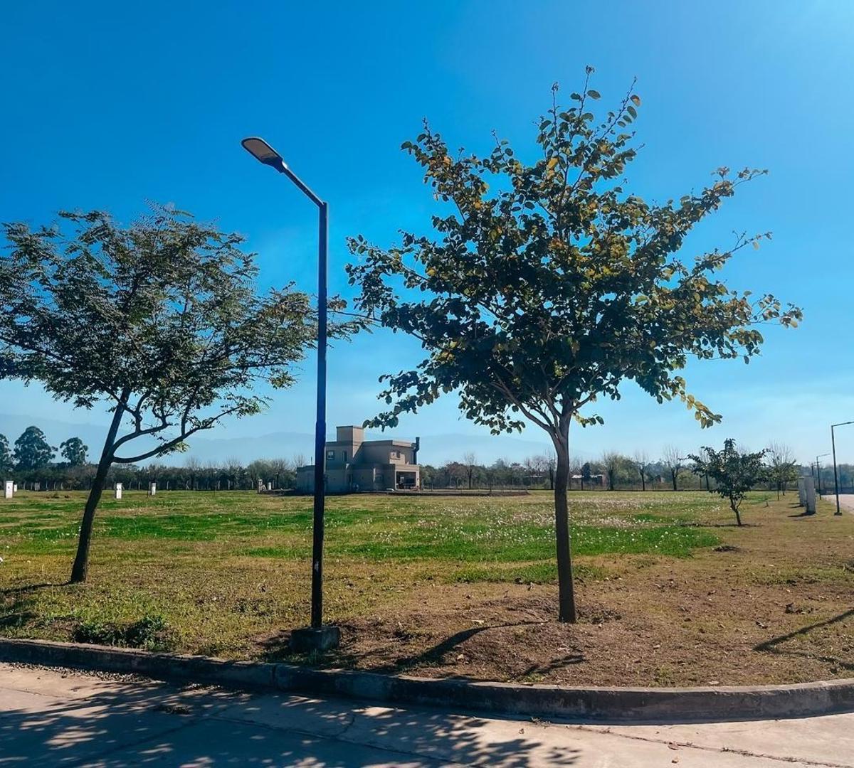 Venta Terreno en Country Las Limas 1