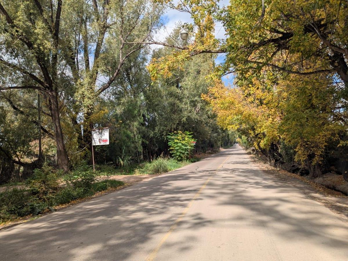 Finca Malbec en Las Compuertas, Lujan de Cuyo 3