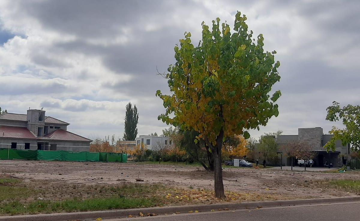 Country Golf La Vacherie Lote Esquina 1125 m² 5