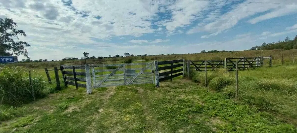 Finca de 12 Hectáreas sobre Ruta Nacional Nº 9 5
