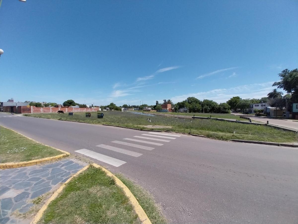 Terreno - Zona Costanera (Mercado del Munillla) 4
