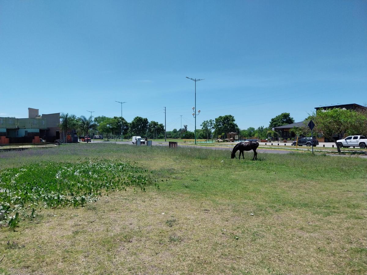Terreno - Zona Costanera (Mercado del Munillla) 1