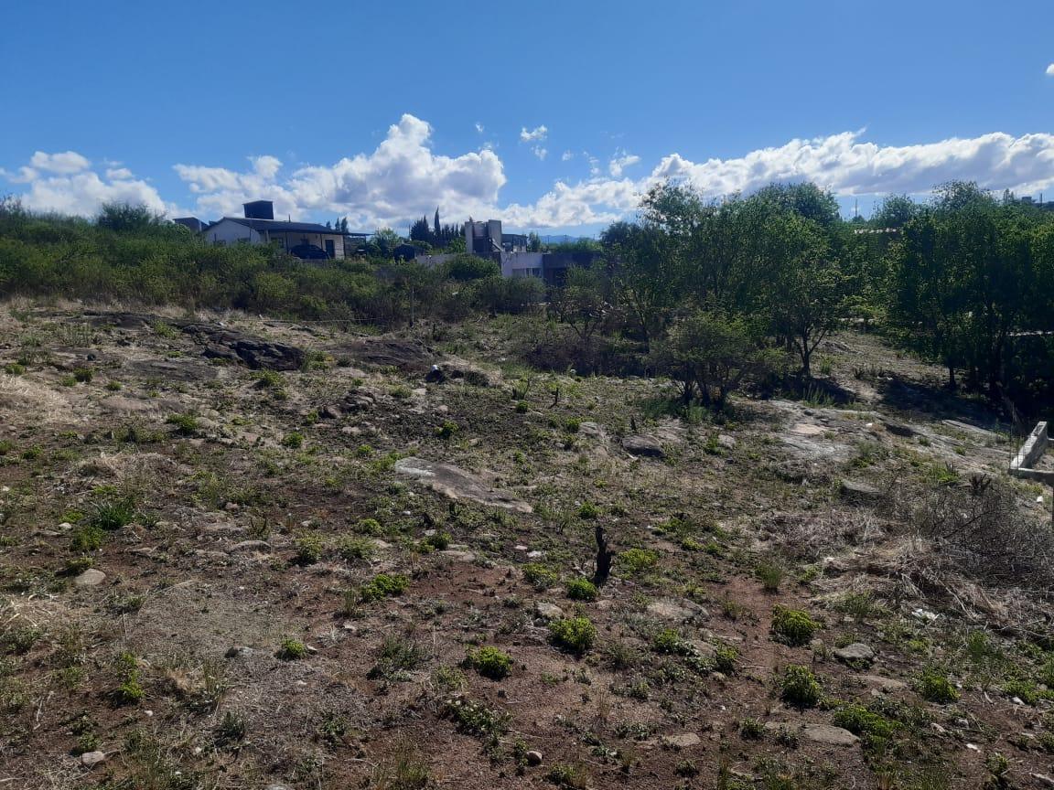Estancia Vieja con Escritura a m del Monumento Indio Bamba 1