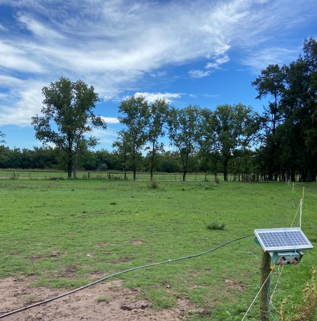 Venta de Terreno en Mercedes Ruta 5 2