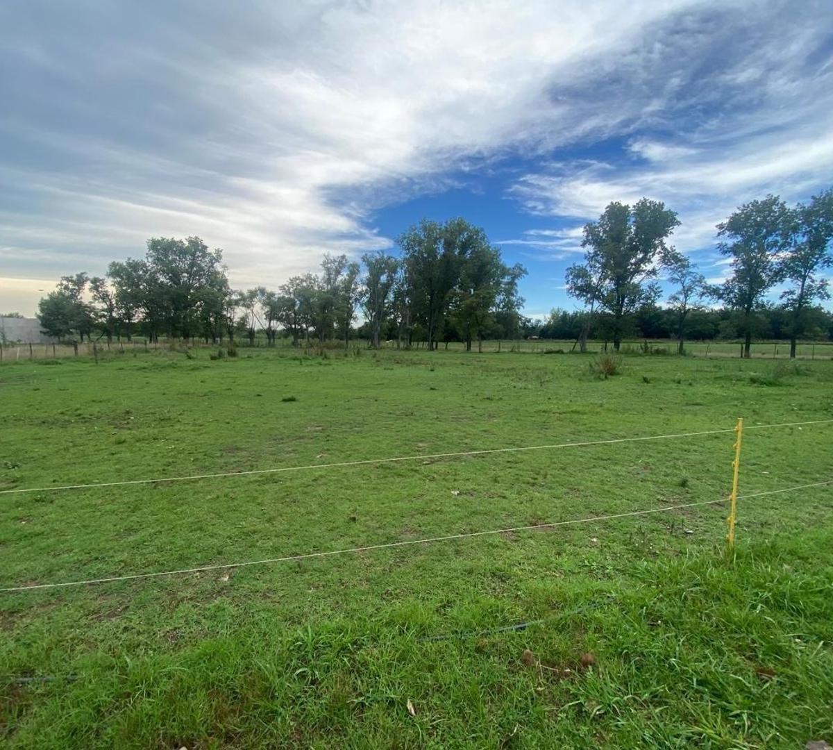 Venta de Terreno en Mercedes Ruta 5 4
