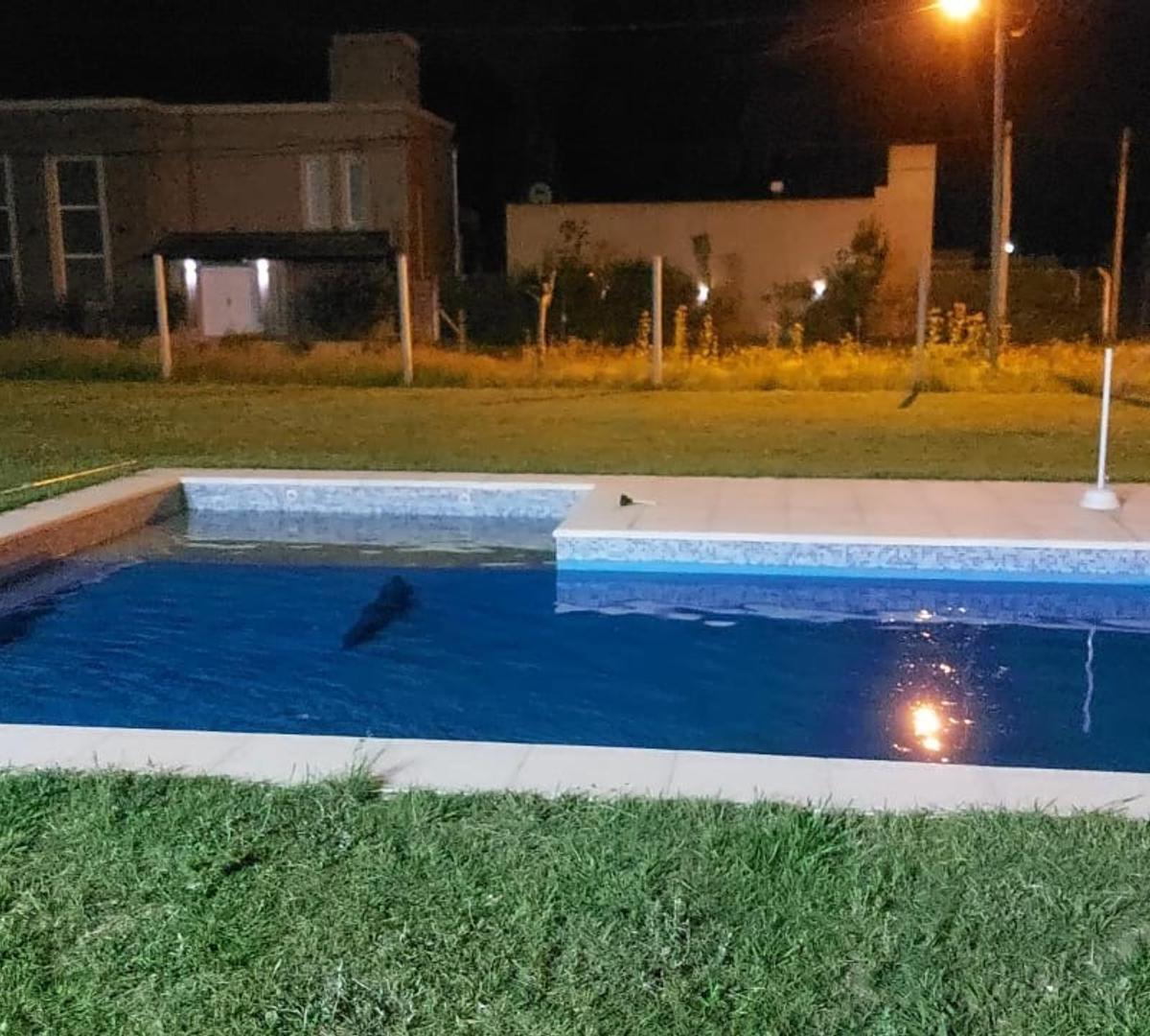 Quinta en Venta o Permuta en Chivilcoy B. 1
